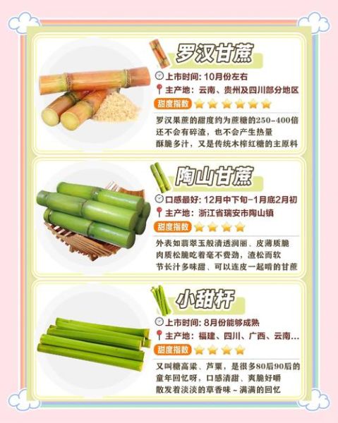 甘蔗种植前景如何_甘蔗价格受哪些因素影响