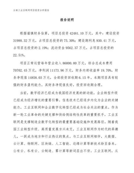 互联网项目投资分析报告怎么写_互联网项目投资分析模板