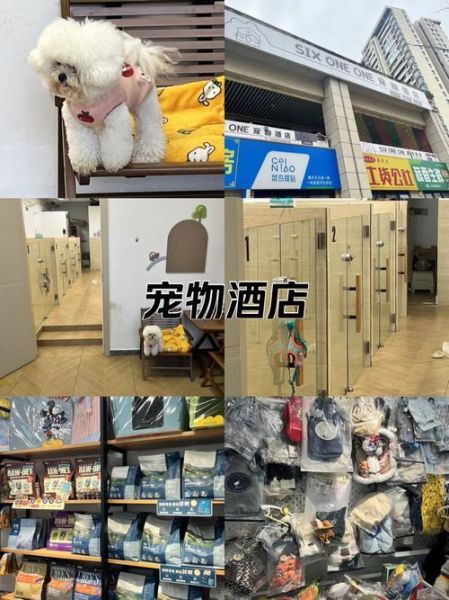 宠物酒店赚钱吗_宠物酒店前景怎么样
