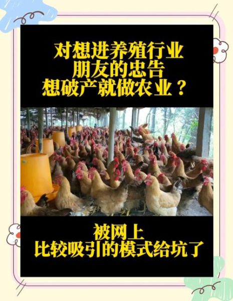 2024年养殖业还能赚钱吗_新手如何低成本入行