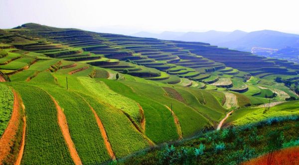 水土保持前景怎么样_水土保持专业好就业吗