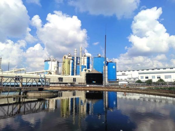 纸厂行业前景如何_纸厂环保政策有哪些