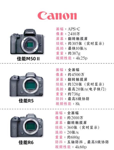 相机怎么选_新手相机推荐2024