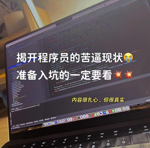 2024年IT行业现状_程序员转行做什么