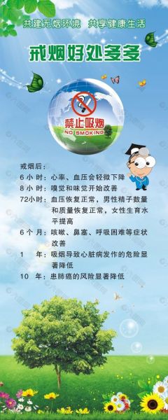 戒烟产品市场前景怎么样_戒烟产品真的能戒烟吗