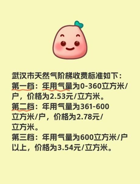 天然气价格为什么上涨_天然气怎么省钱