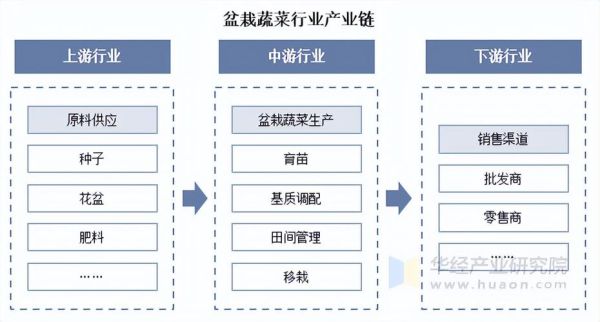 蔬菜种植赚钱吗_未来五年蔬菜市场前景如何