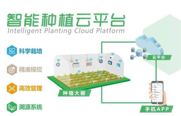 互联网养殖业赚钱吗_如何低成本起步