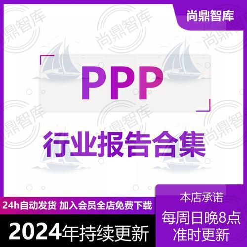 ppp项目盈利模式有哪些_2024年ppp行业前景如何