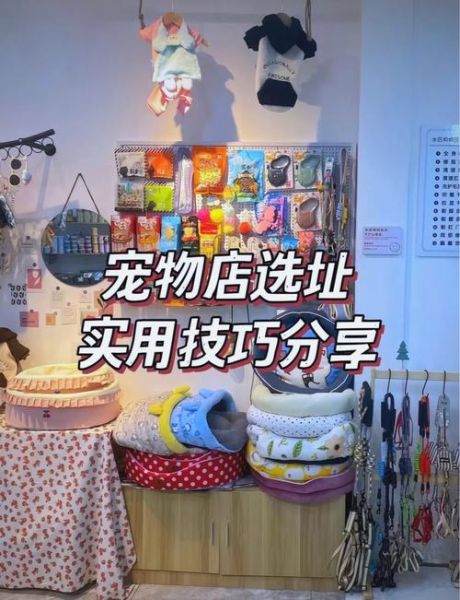 宠物店怎么选址_新手开宠物店赚钱吗