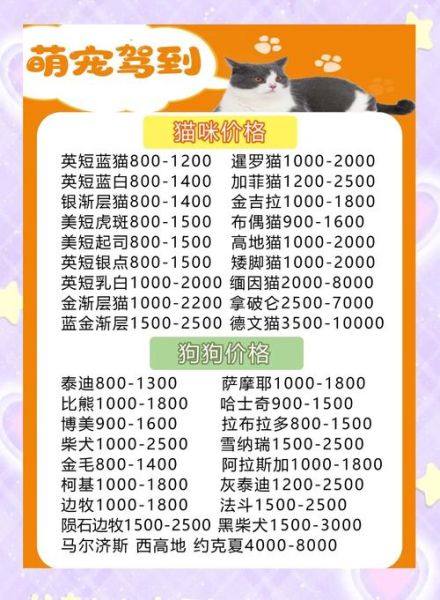 宠物店怎么选_新手养宠必备清单