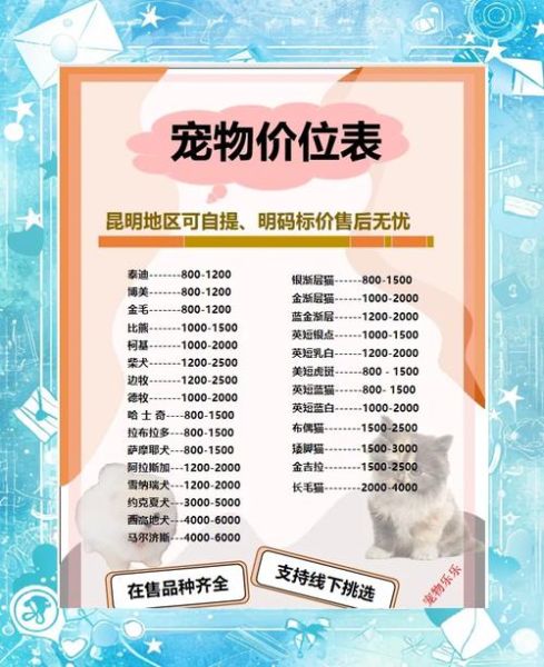 宠物店怎么选_新手养宠必备清单