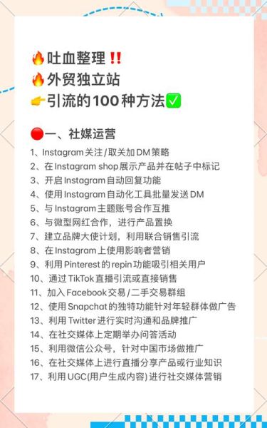 2024外贸独立站怎么做_如何低成本引流