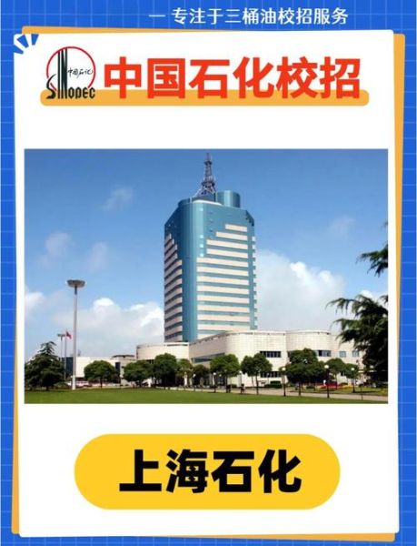 中石化前景怎么样_中石化未来投资价值