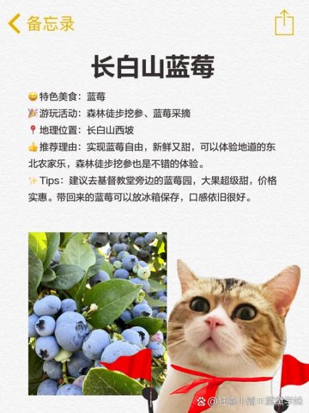 东北旅游几月份去最好_东北特产有哪些值得买