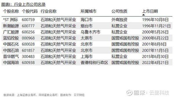 石油天然气行业未来趋势_2024年投资前景如何