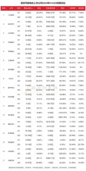 电机行业前景如何_高效节能电机未来五年发展趋势