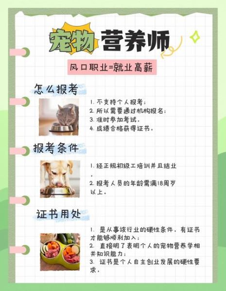 宠物行业就业前景怎么样_宠物行业有哪些岗位