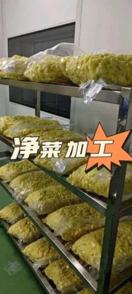 净菜配送加盟哪家好_净菜加工利润有多大