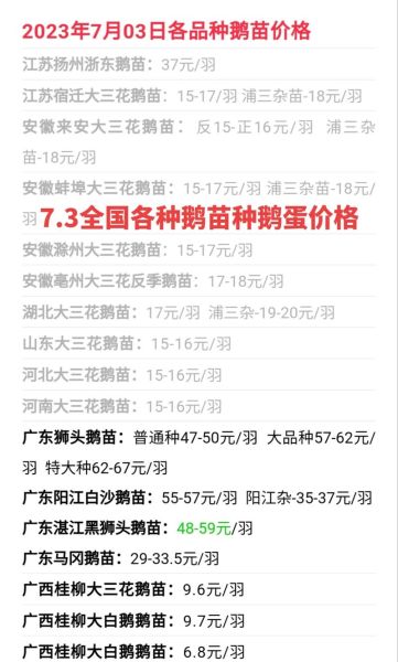 鹅养殖前景怎么样_鹅苗批发价格多少钱一只