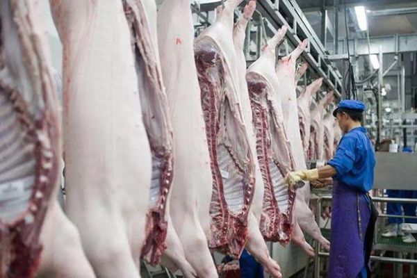 屠宰行业前景怎么样_屠宰场投资多少钱