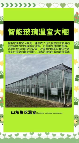 温室大棚未来赚钱吗_温室农业发展趋势