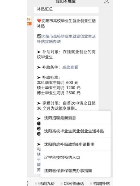 沈阳互联网政策扶持有哪些_如何申请沈阳互联网补贴