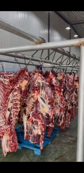 牛肉市场前景怎么样_牛肉价格还会涨吗