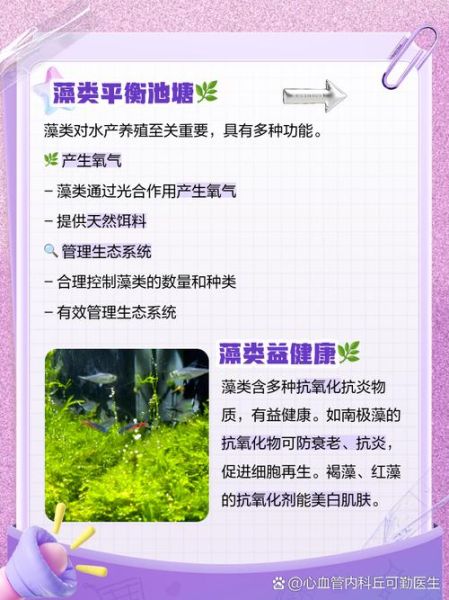 藻类产业前景如何_藻类应用有哪些