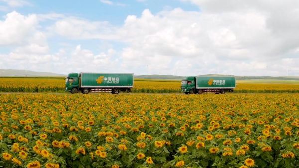 中国邮政发展前景怎么样_中国邮政未来有哪些新机遇