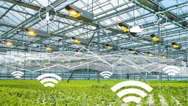 智慧农业发展前景怎么样_智慧农业有哪些应用场景