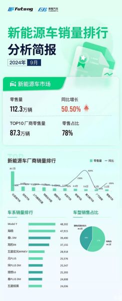 2024年新能源汽车市场份额_谁才是最大赢家