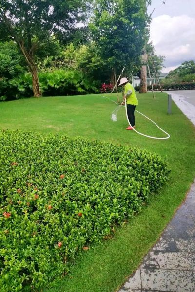 园林绿化行业前景怎么样_园林绿化公司怎么盈利