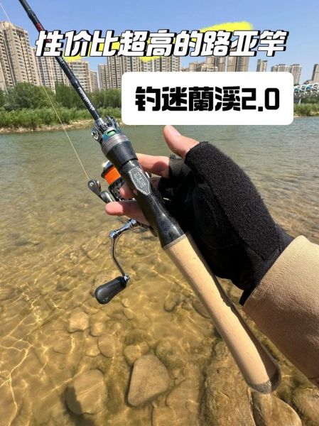 新手买什么鱼竿好_台钓竿和路亚竿怎么选