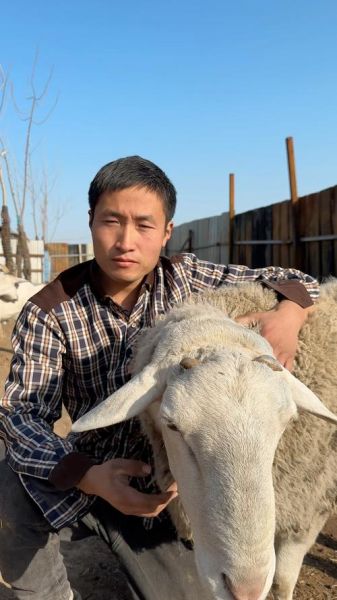 养羊前景怎么样_养羊赚钱吗