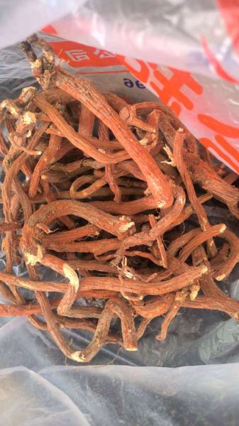 丹参价格走势_丹参种植前景怎么样