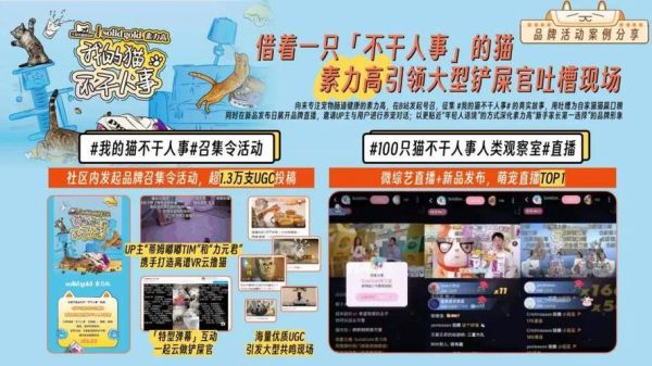 宠物行业SEO怎么做_宠物电商如何精准引流