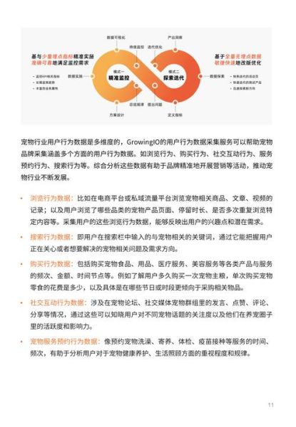 宠物行业SEO怎么做_宠物电商如何精准引流