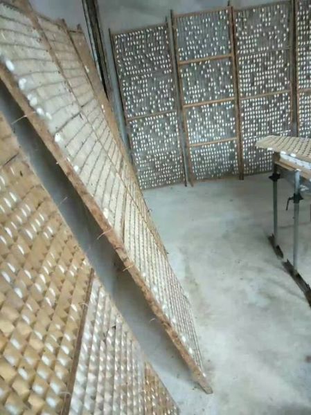 蚕茧价格走势_蚕茧养殖赚钱吗