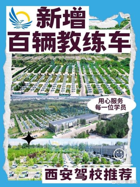 驾培行业前景怎么样_2024年还能开驾校吗