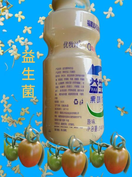 乳酸菌饮料哪个牌子好_乳酸菌饮料的功效与作用