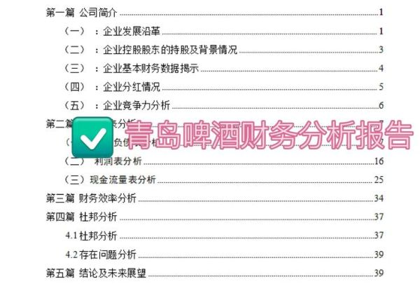 啤酒行业财务分析怎么做_啤酒企业盈利能力如何提升
