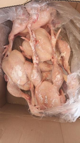 冷冻鸡市场怎么样_冷冻鸡利润高吗