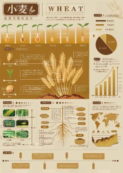 互联网农业图表怎么做_农业数据可视化案例