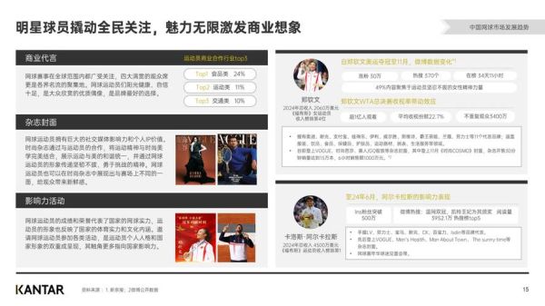 网球运动有前途吗_网球行业未来趋势