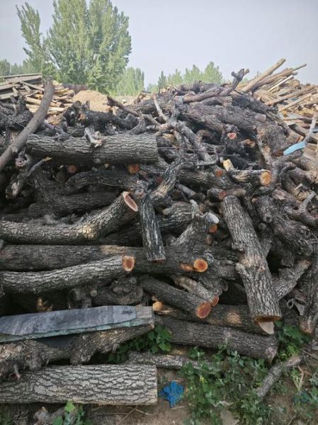 木炭市场前景怎么样_木炭生意赚钱吗