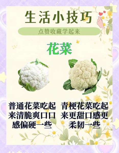 哪些蔬菜适合网购_网购蔬菜怎么选