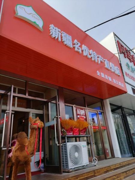 新疆做什么生意赚钱_新疆哪些行业前景好