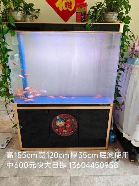 卖鱼缸赚钱吗_新手如何开鱼缸店