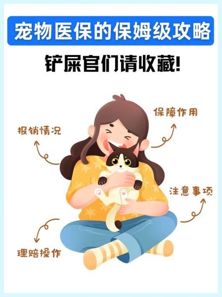 宠物看病贵怎么办_如何选择靠谱兽医